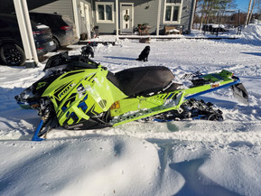 Arctic Cat Riot