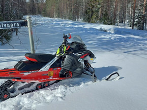 Lynx Enduro