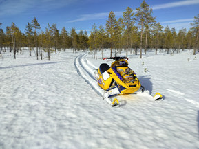 Ski-Doo MX Z