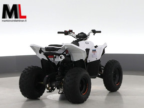 Linhai ATV 110