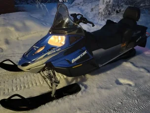 Arctic Cat Bearcat
