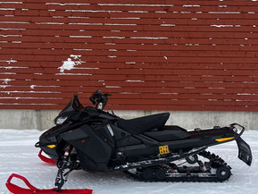 Ski-Doo Renegade