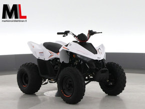 Linhai ATV 110