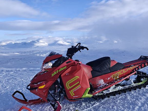 Ski-Doo Freeride