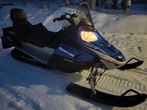 Arctic Cat Bearcat