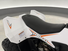 Linhai ATV 110