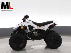Linhai ATV 110