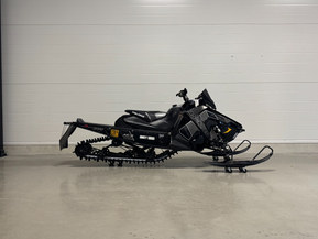 Polaris SwitchBack