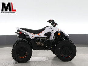 Linhai ATV 110