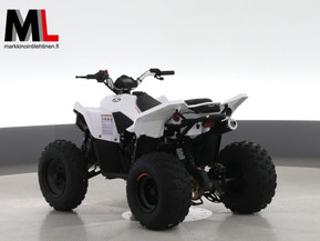 Linhai ATV 110