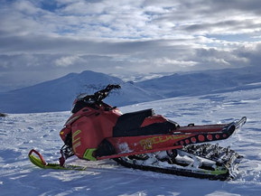 Ski-Doo Freeride
