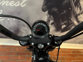 Harley-Davidson Softail