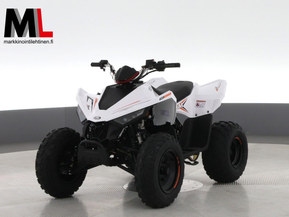 Linhai ATV 110