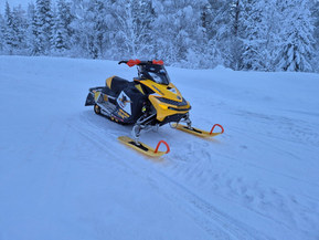 Ski-Doo MX Z
