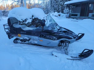Arctic Cat Panther
