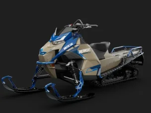 Arctic Cat Bearcat