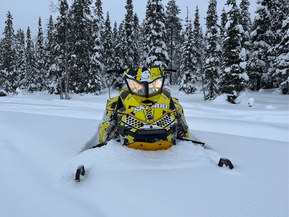 Ski-Doo MX Z