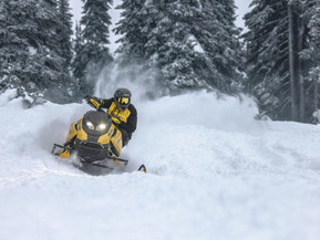 Ski-Doo MX Z