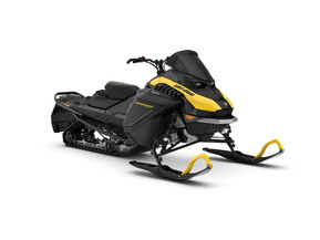 Ski-Doo Renegade