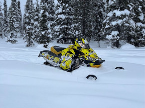Ski-Doo MX Z