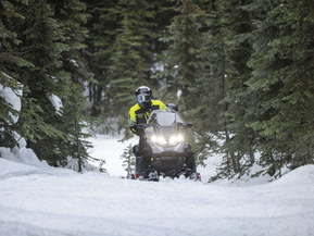 Ski-Doo Expedition