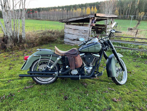 Harley-Davidson Dyna