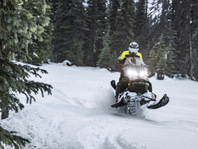 Ski-Doo Expedition