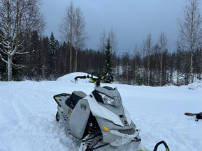 Ski-Doo Freeride