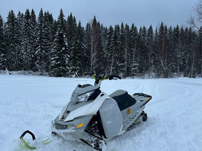 Ski-Doo Freeride