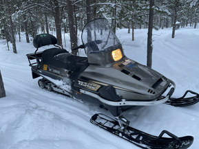 Yamaha Viking 540  III