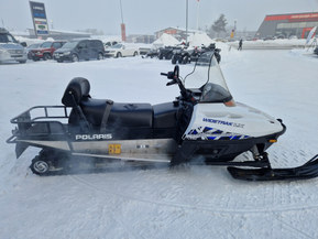 Polaris WideTrak LX