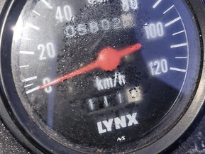 Lynx 5900