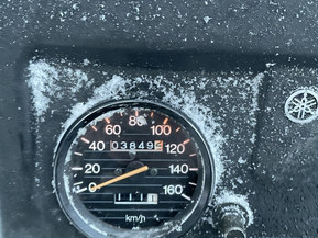 Yamaha Viking 540  III