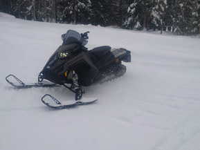 Polaris SwitchBack