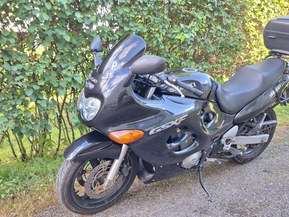 Suzuki GSX