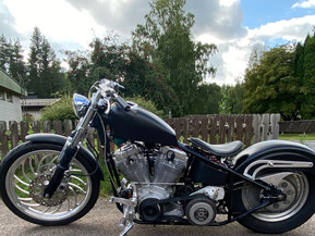 Harley-Davidson Muu malli