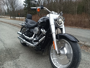 Harley-Davidson Softail