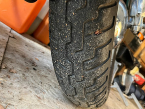 Harley-Davidson Softail