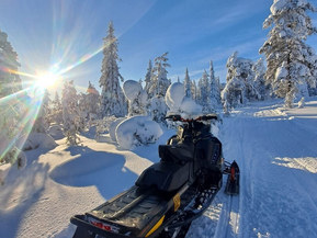Ski-Doo MX Z