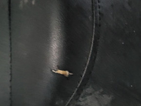 Polaris 550 Trail Touring