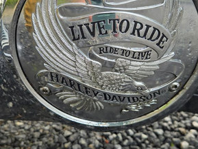 Harley-Davidson Softail