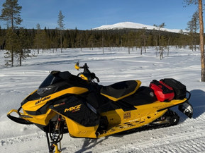 Ski-Doo MX Z