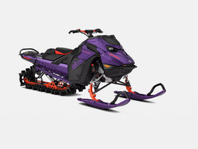 Ski-Doo Freeride