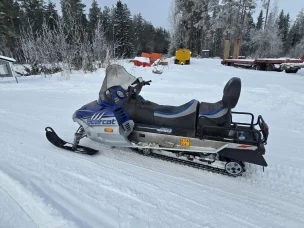 Arctic Cat Bearcat