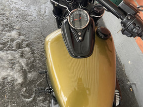 Harley-Davidson Softail