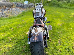 Harley-Davidson Softail