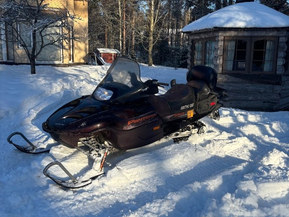 Arctic Cat Pantera