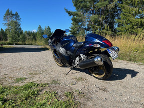 Suzuki GSX