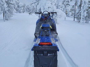 Polaris RMK