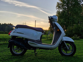 SYM Fiddle II 50